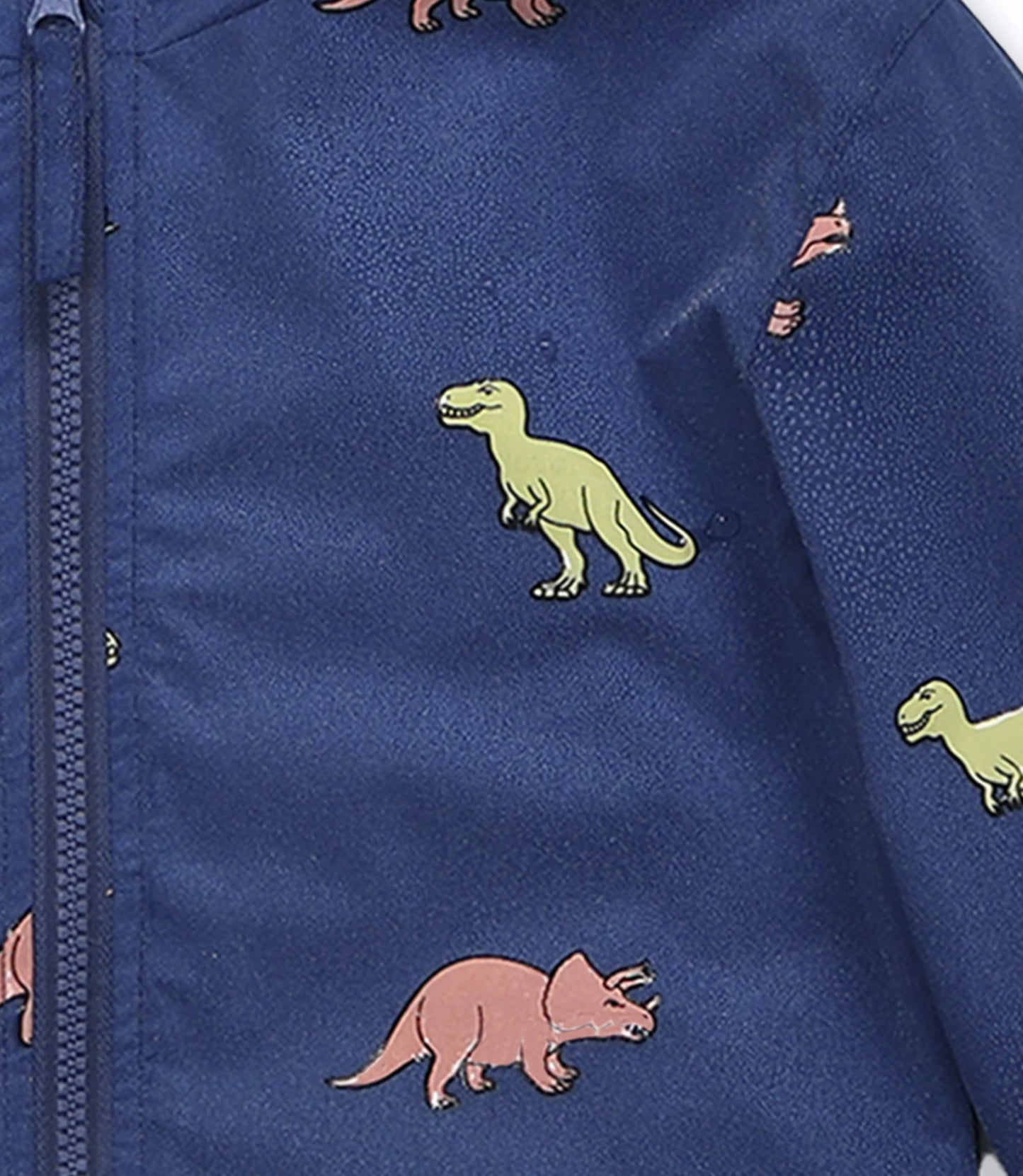 Color Changing Dinosaur Raincoat Hollyandbeauu