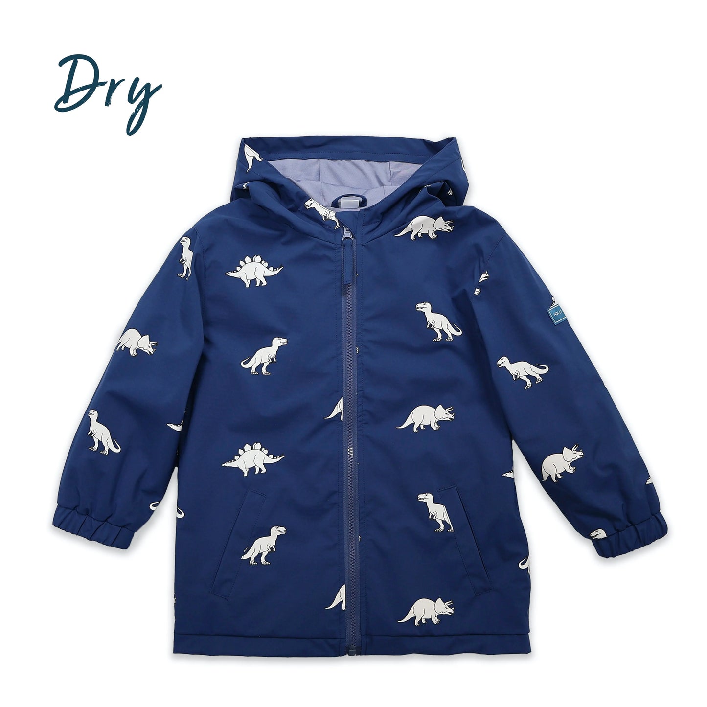 Color Changing Dinosaur Raincoat Hollyandbeauu