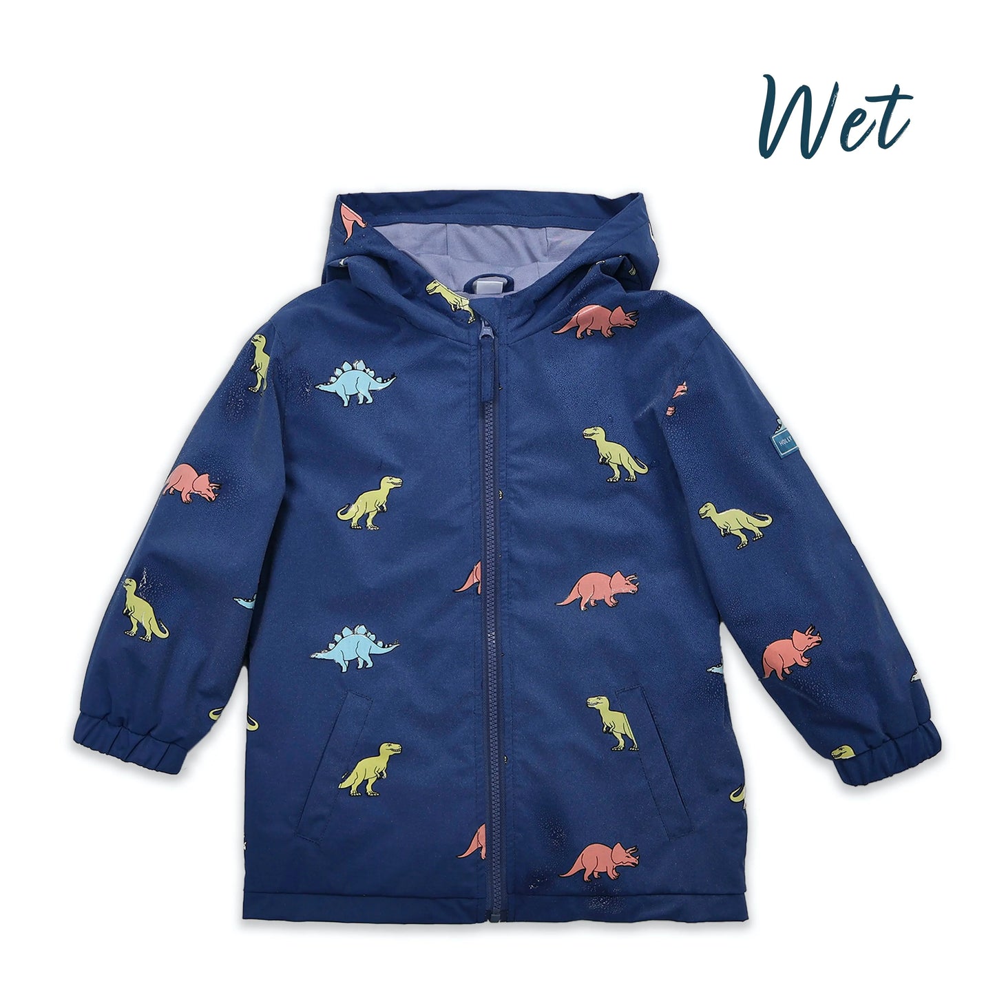 Color Changing Dinosaur Raincoat Hollyandbeauu