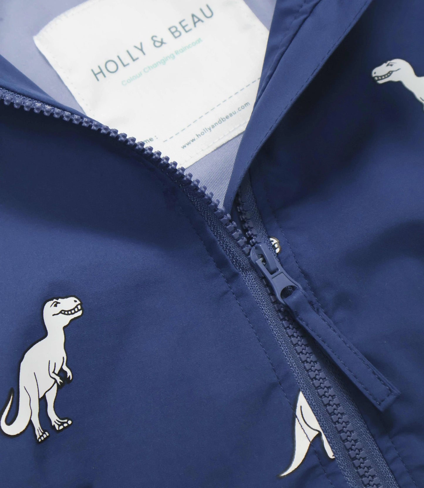 Color Changing Dinosaur Raincoat Hollyandbeauu