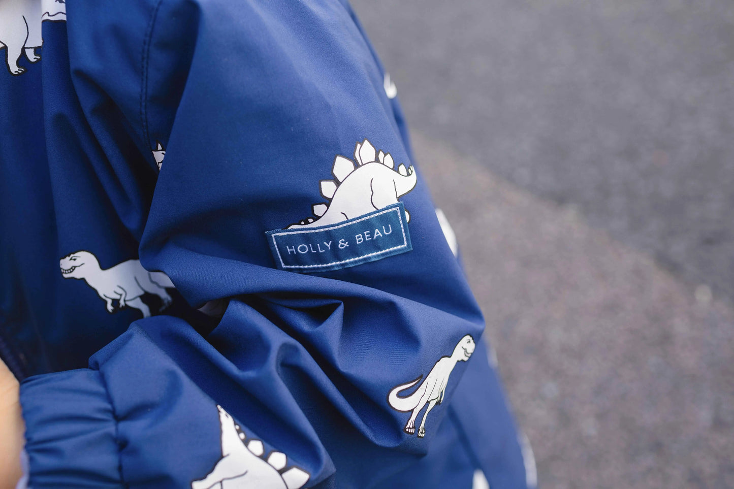 Color Changing Dinosaur Raincoat Hollyandbeauu