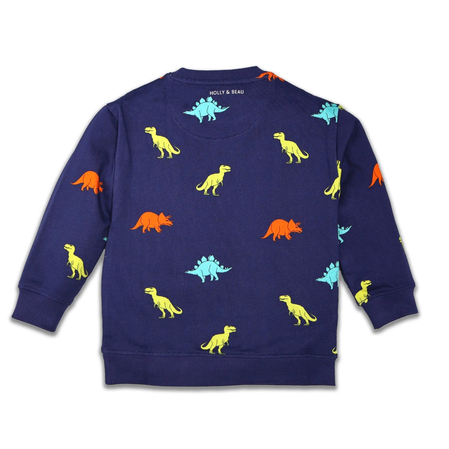 Organic Cotton Dinosaur Sweatshirt Hollyandbeauu