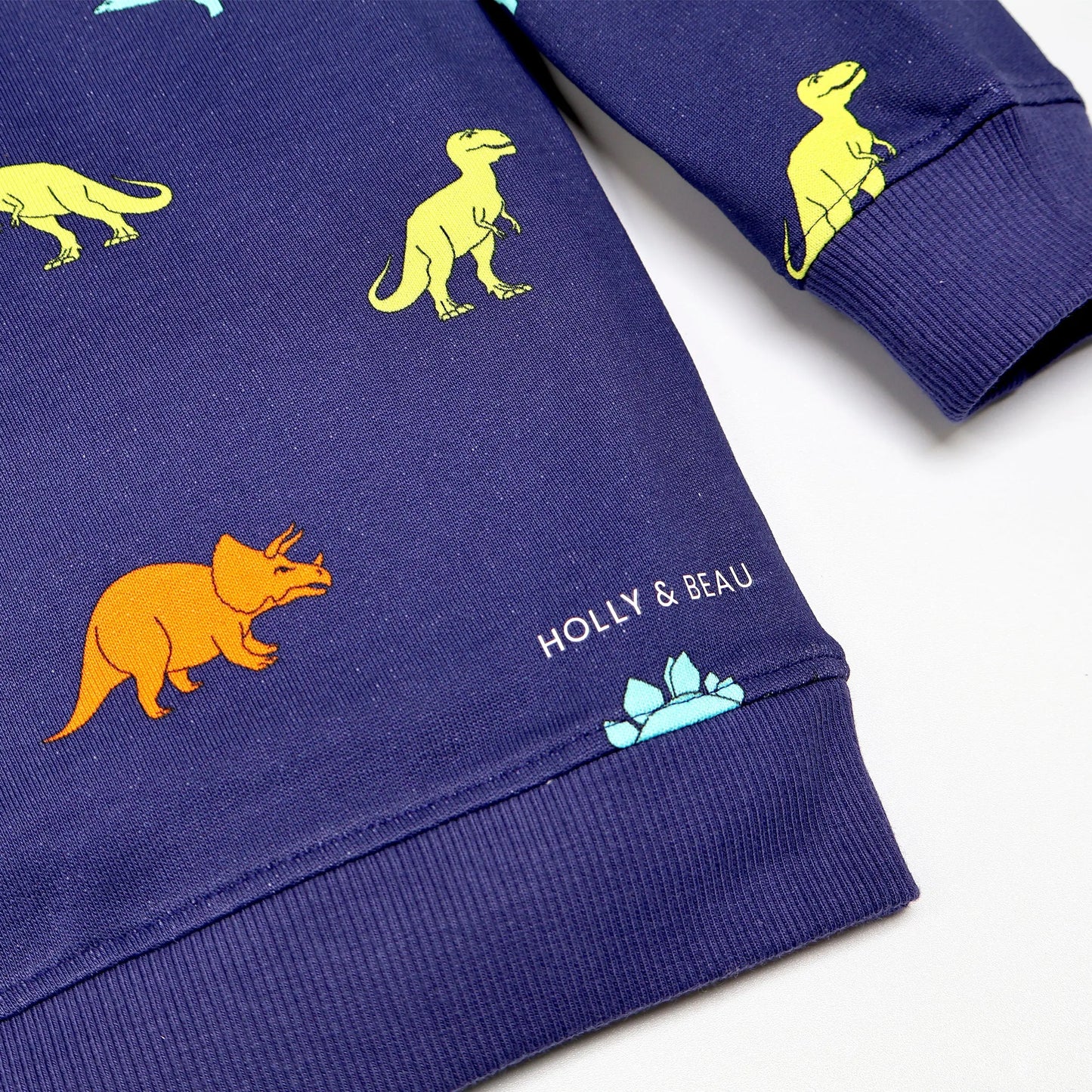 Organic Cotton Dinosaur Sweatshirt Hollyandbeauu