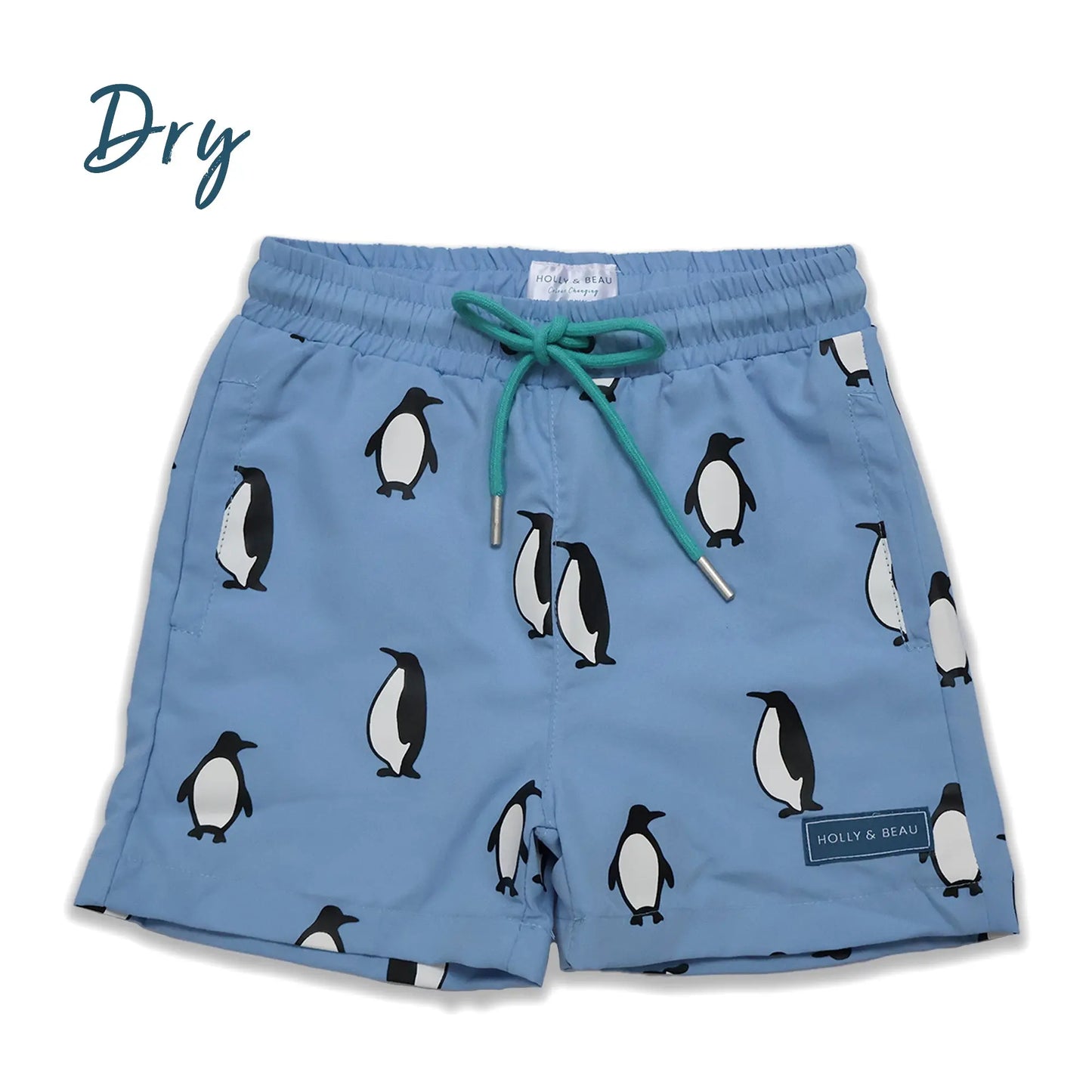Holly and Beau light blue penguin boys color changing swim trunks. Dry front view