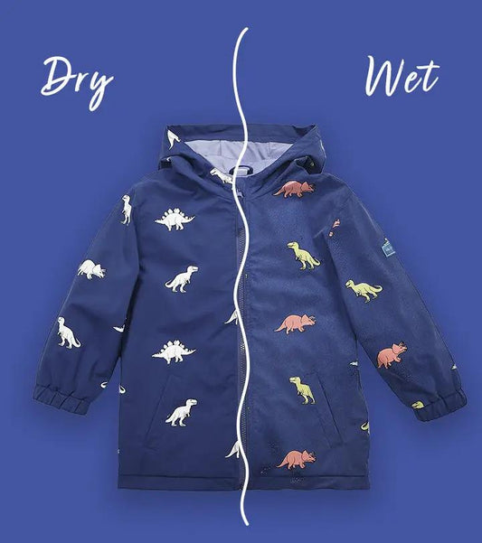 Color Changing Dinosaur Raincoat Hollyandbeauu
