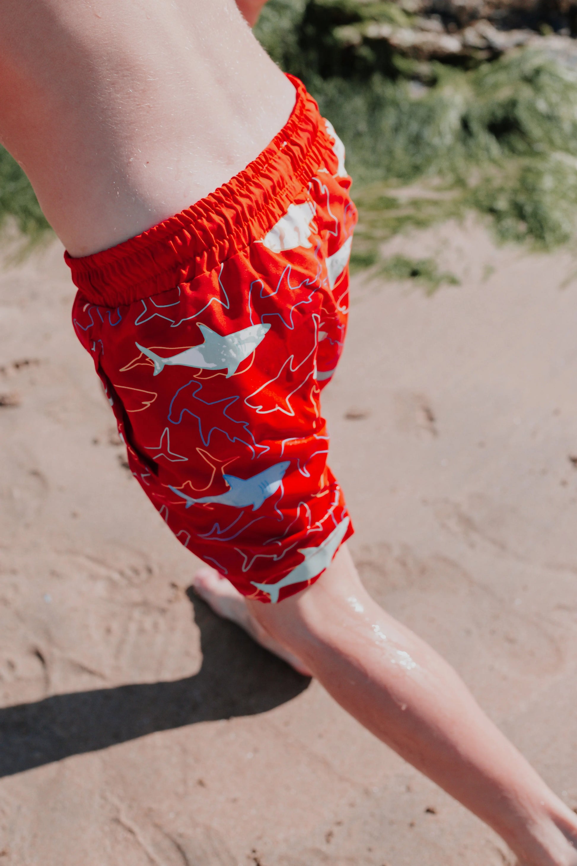 Color Changing Shark Swim Trunks www.hollyandbeau.com
