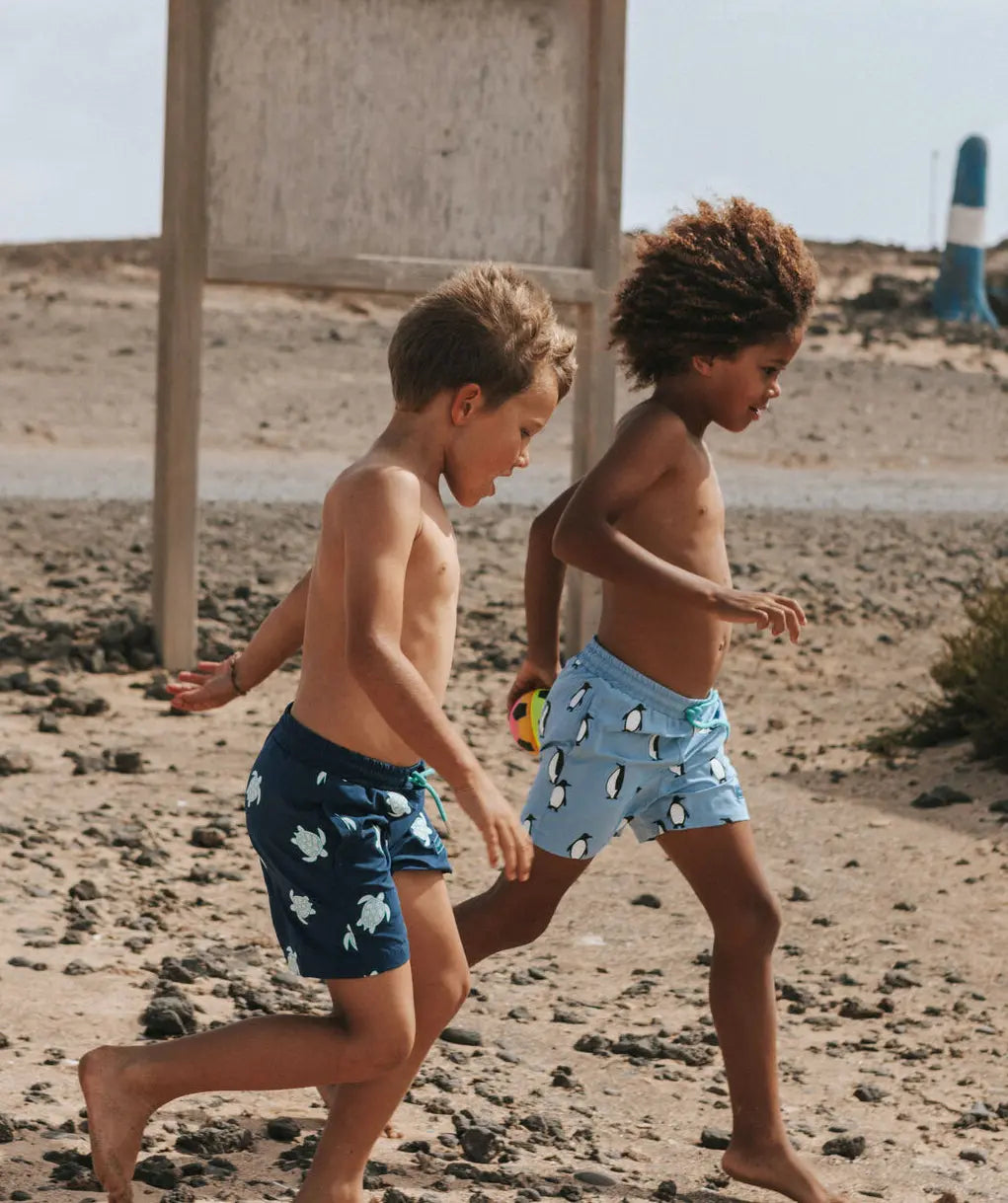 Color Changing Turtle Swim Trunks www.hollyandbeau.com