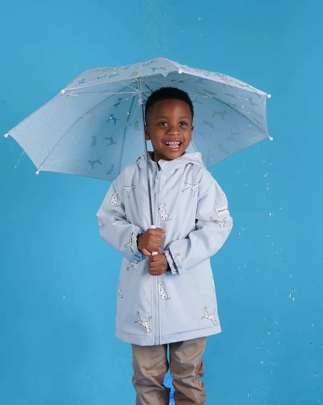 Holly and Beau Lifestyle dalmatian color changing raincoat Happy smiling holding an umbrella