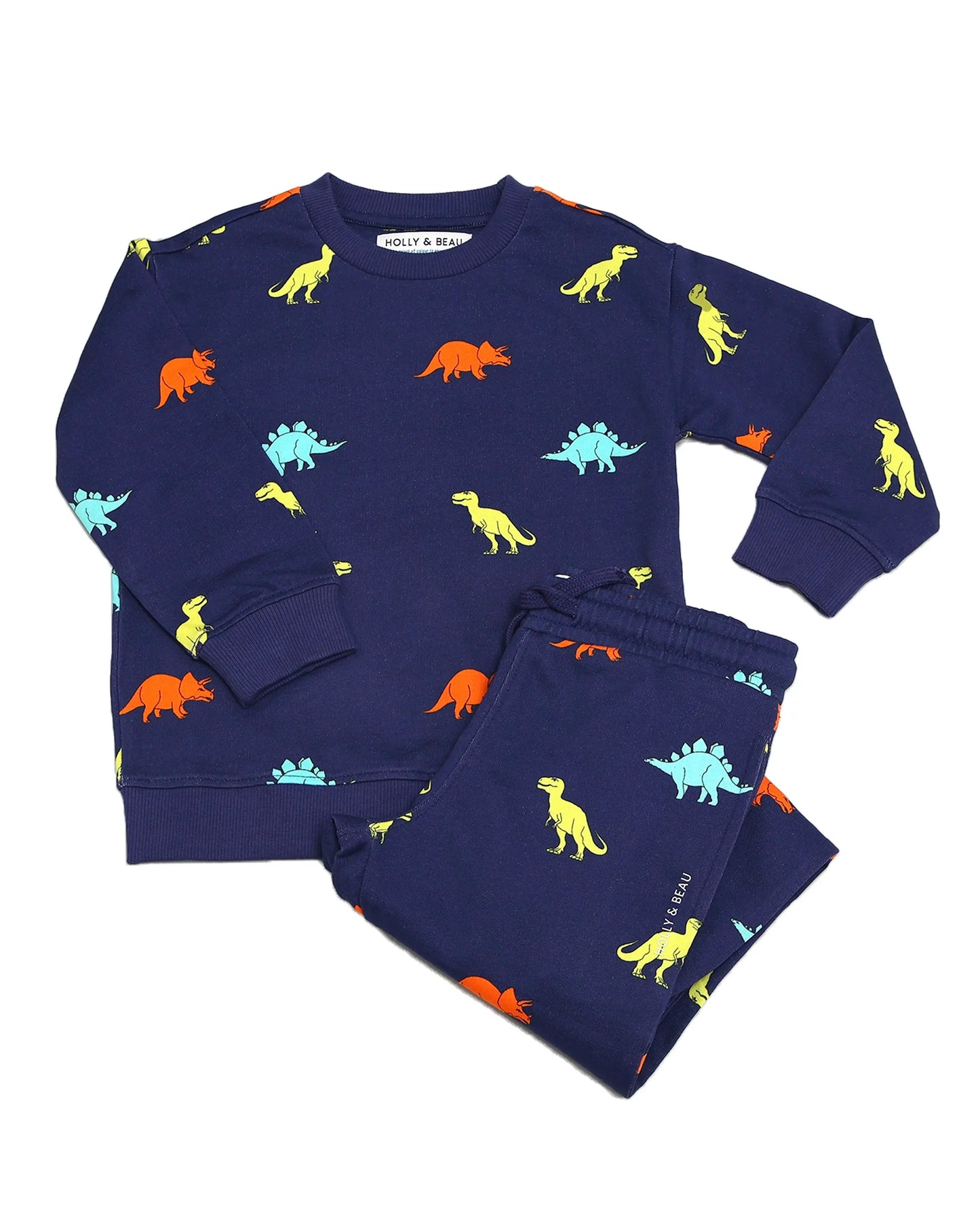 Dinosaur Sweat Set www.hollyandbeau.com