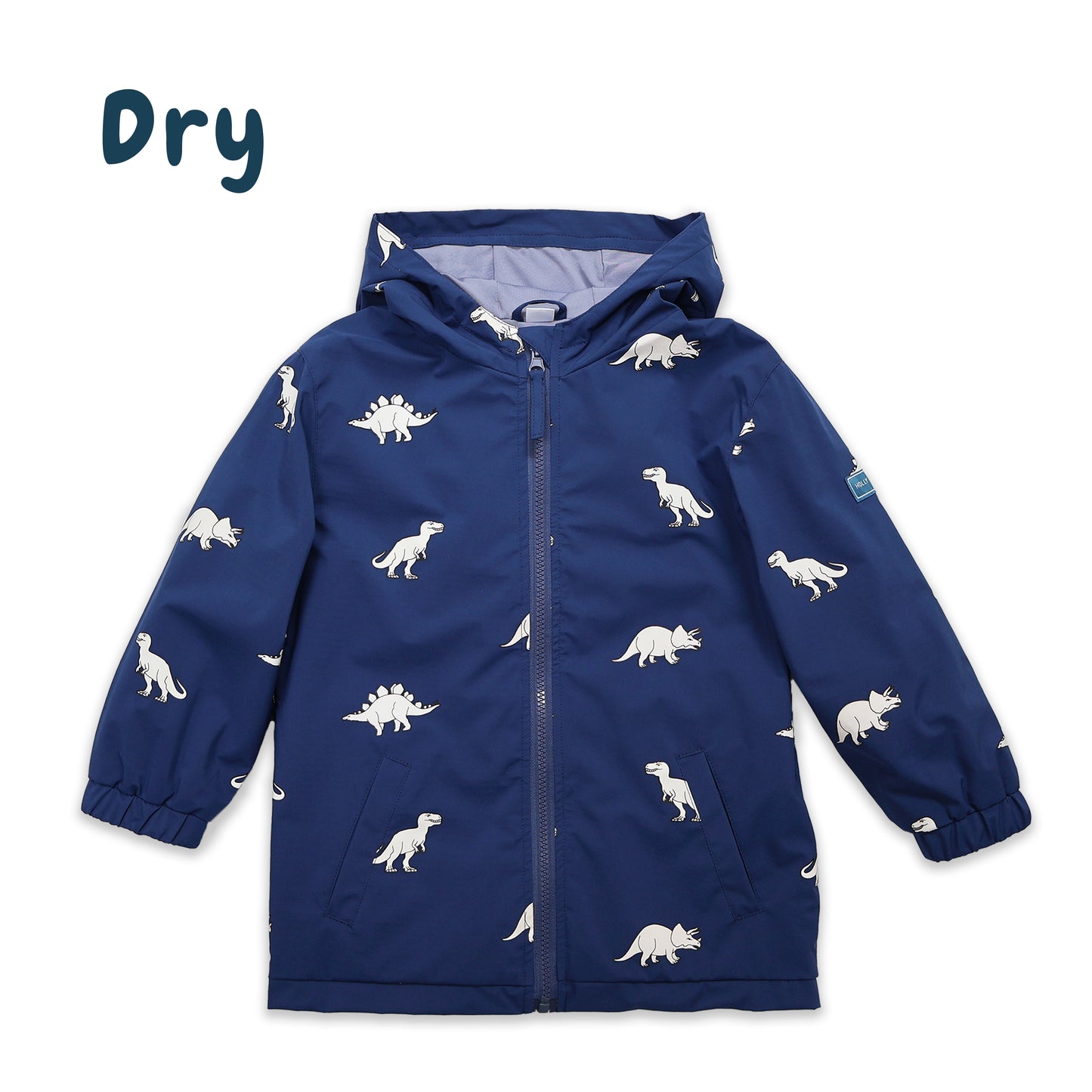 Color Changing Dinosaur Kids Raincoat