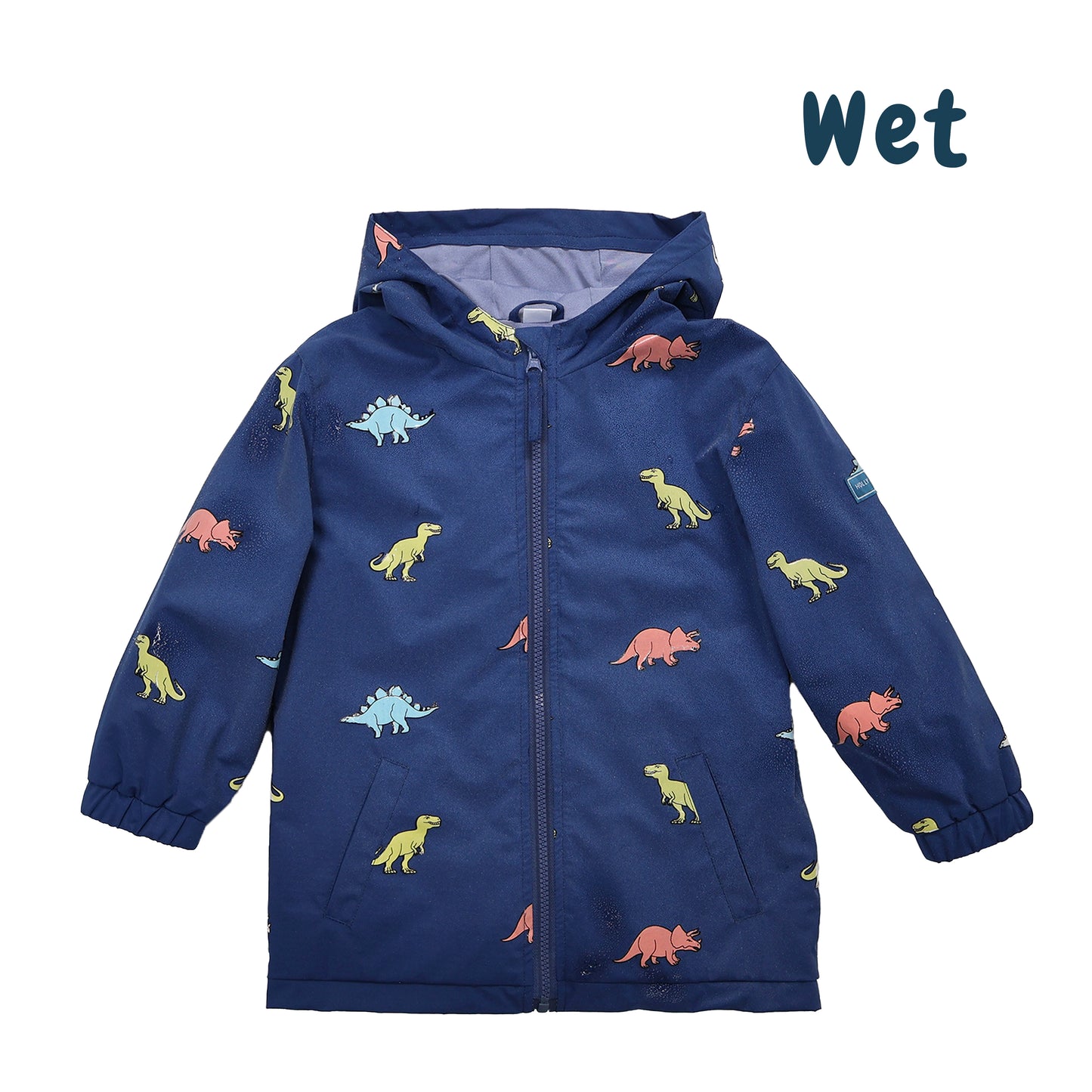 Color Changing Dinosaur Kids Raincoat