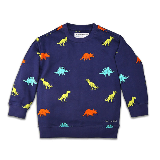 Organic Cotton Dinosaur Sweatshirt Hollyandbeauu