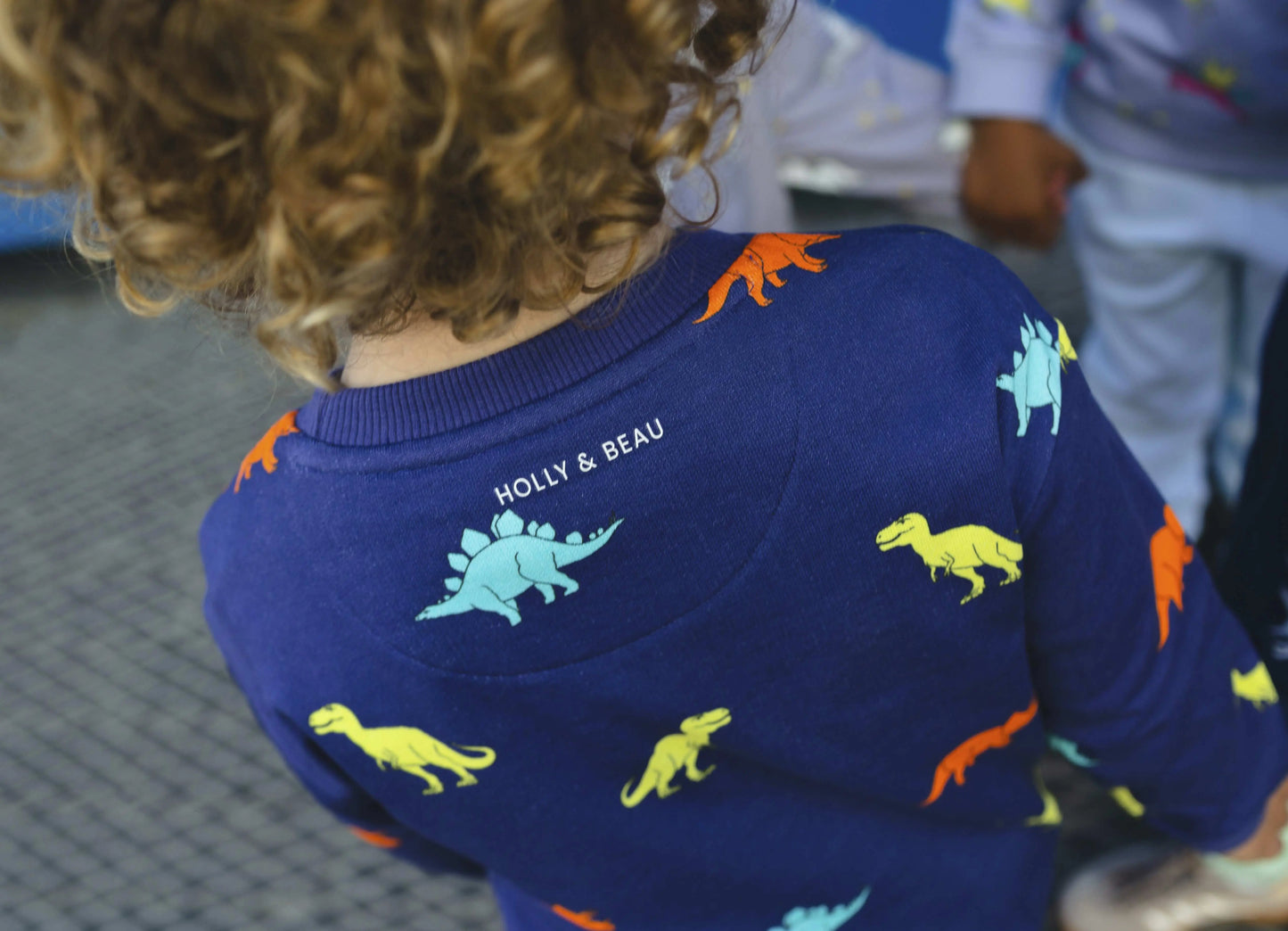 Organic Cotton Dinosaur Sweatshirt Hollyandbeauu