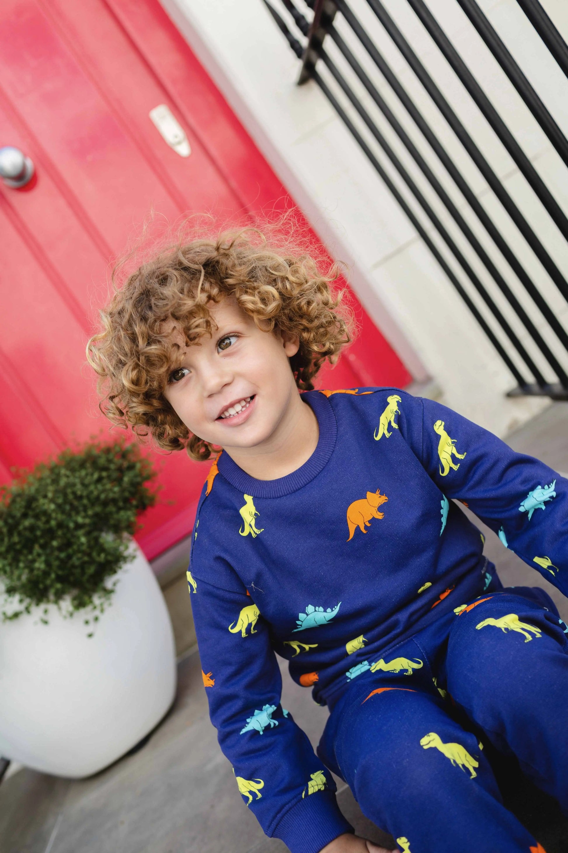 Organic Cotton Dinosaur Sweatshirt Hollyandbeauu